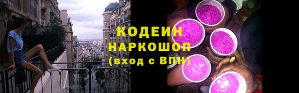 скорость Няндома