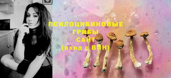 спайс Новодвинск